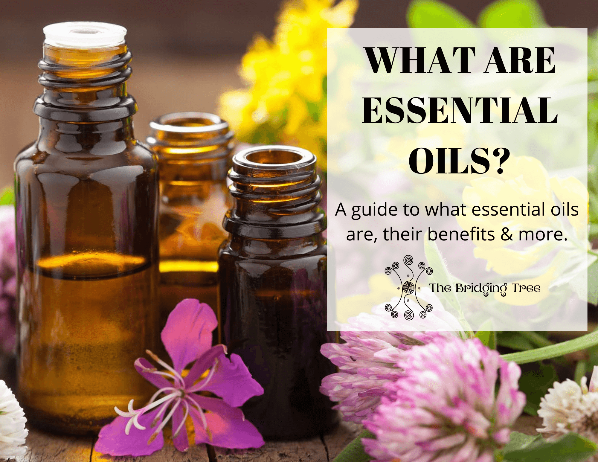 Essential Oils