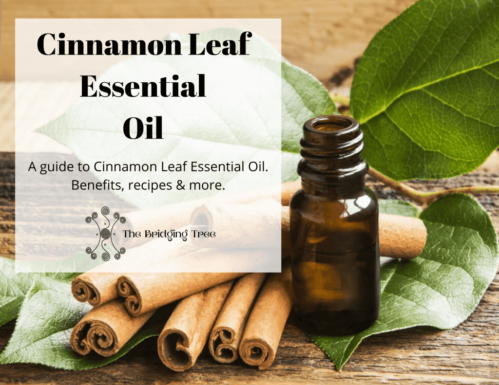 Cinnamon leaf essential oil