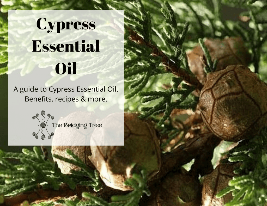 Cypress essential oil