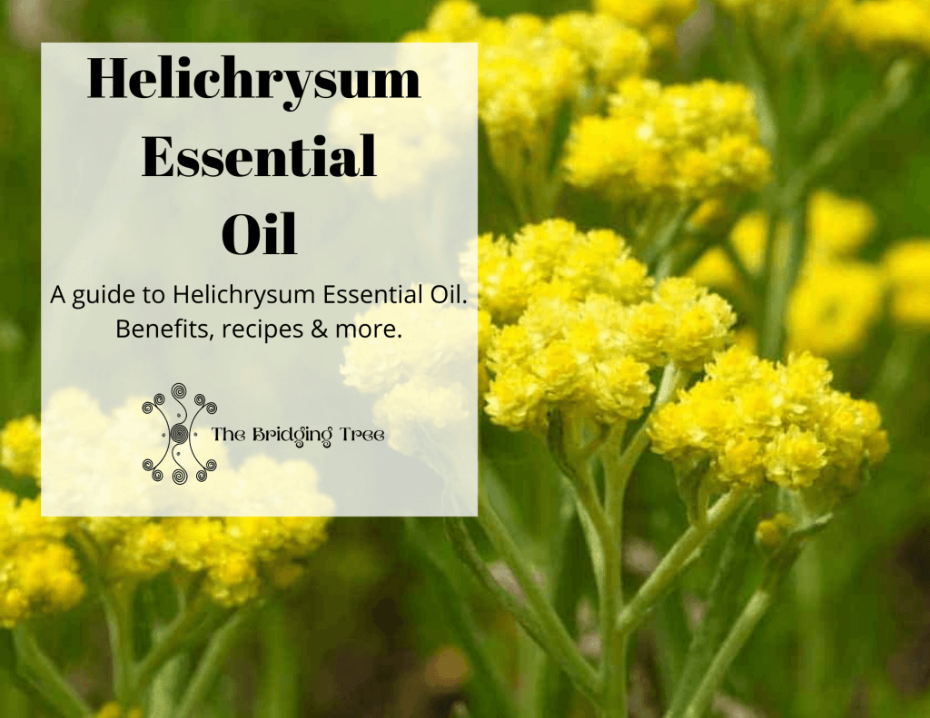 Helichrysum Essential Oil