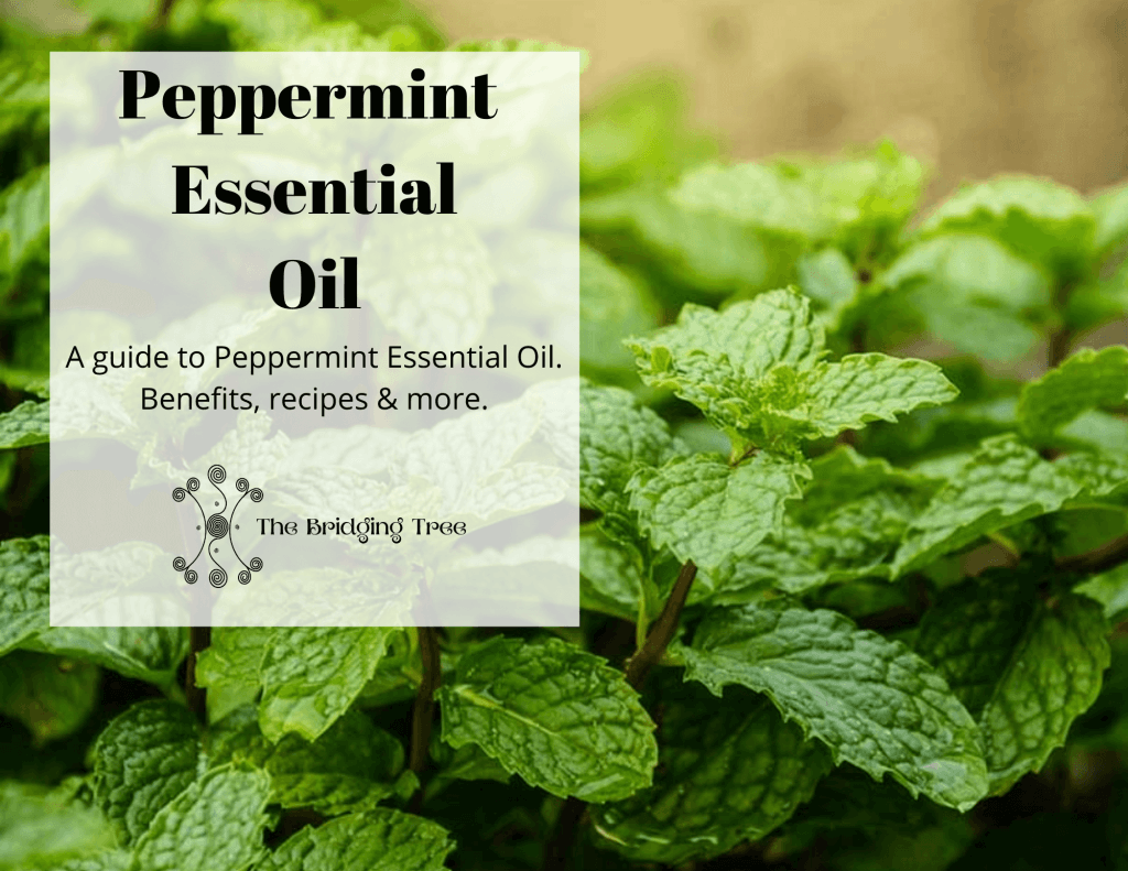 Peppermint essential oil