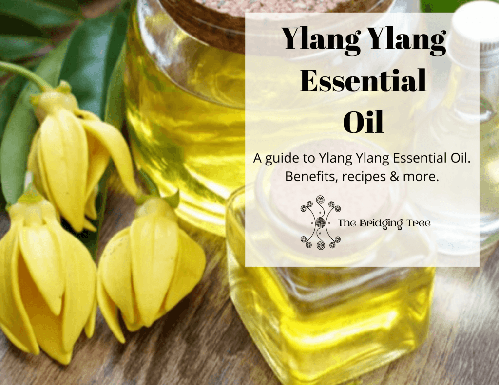 Ylang ylang essential oil