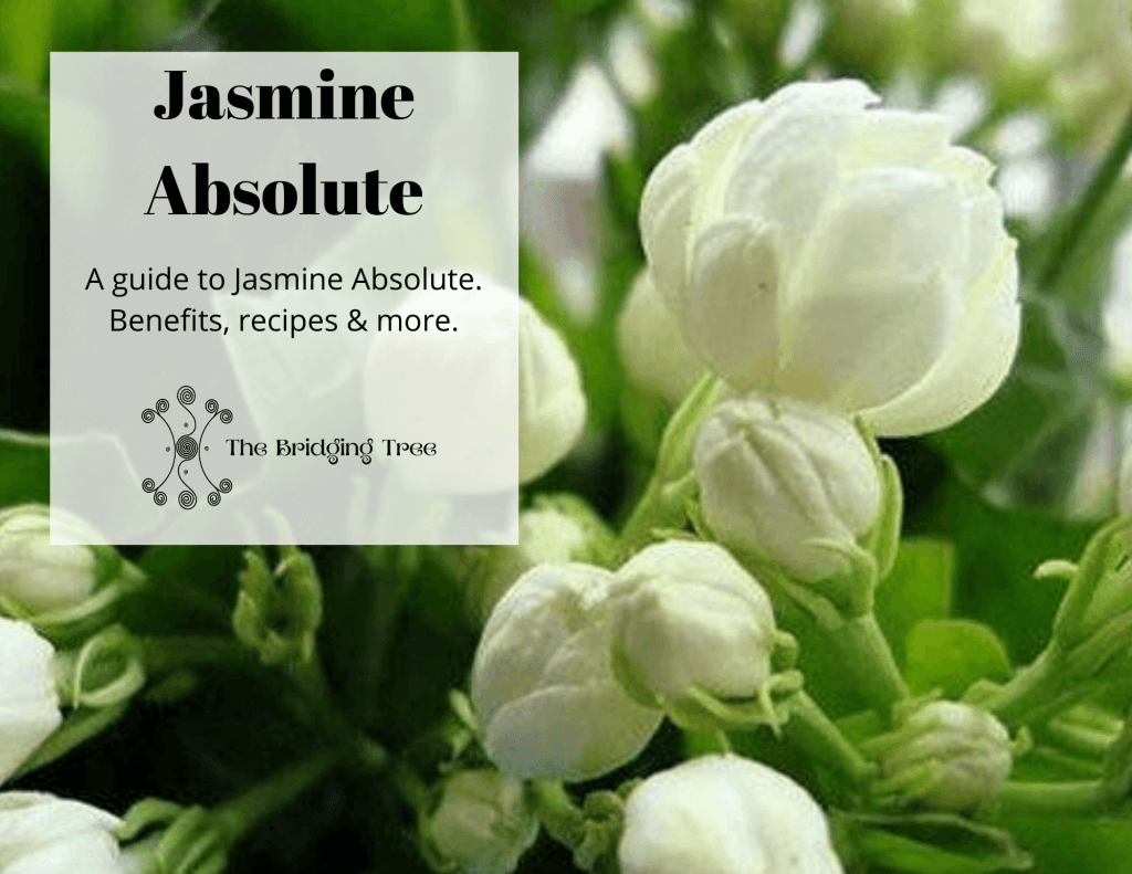 Jasmine absolute